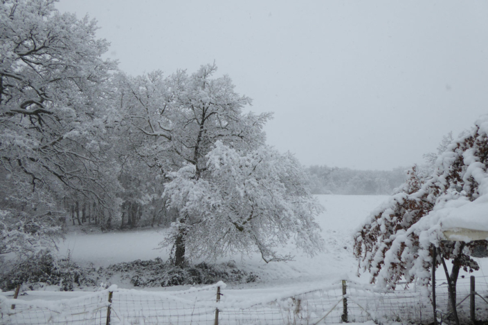 Bénagues sous la neige