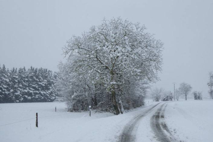 Bénagues sous la neige