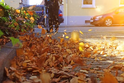 Arrêté Municipal - Entretien des trottoirs et l'élagage des plantations