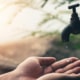 Vigilance et modérations volontaires des usages de l'eau