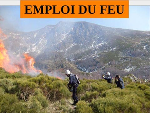 Emploi du feu, comment déclarer ?