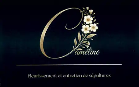 Cameline